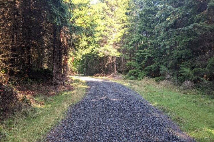 CZ Trail between Wilark and Holce Crown zellerbach columbia county oregon