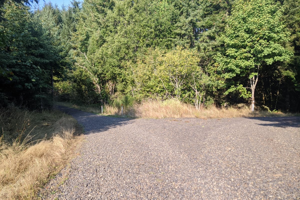 holce wilark cz trail crown zellerbach weyerhaeuser logging road