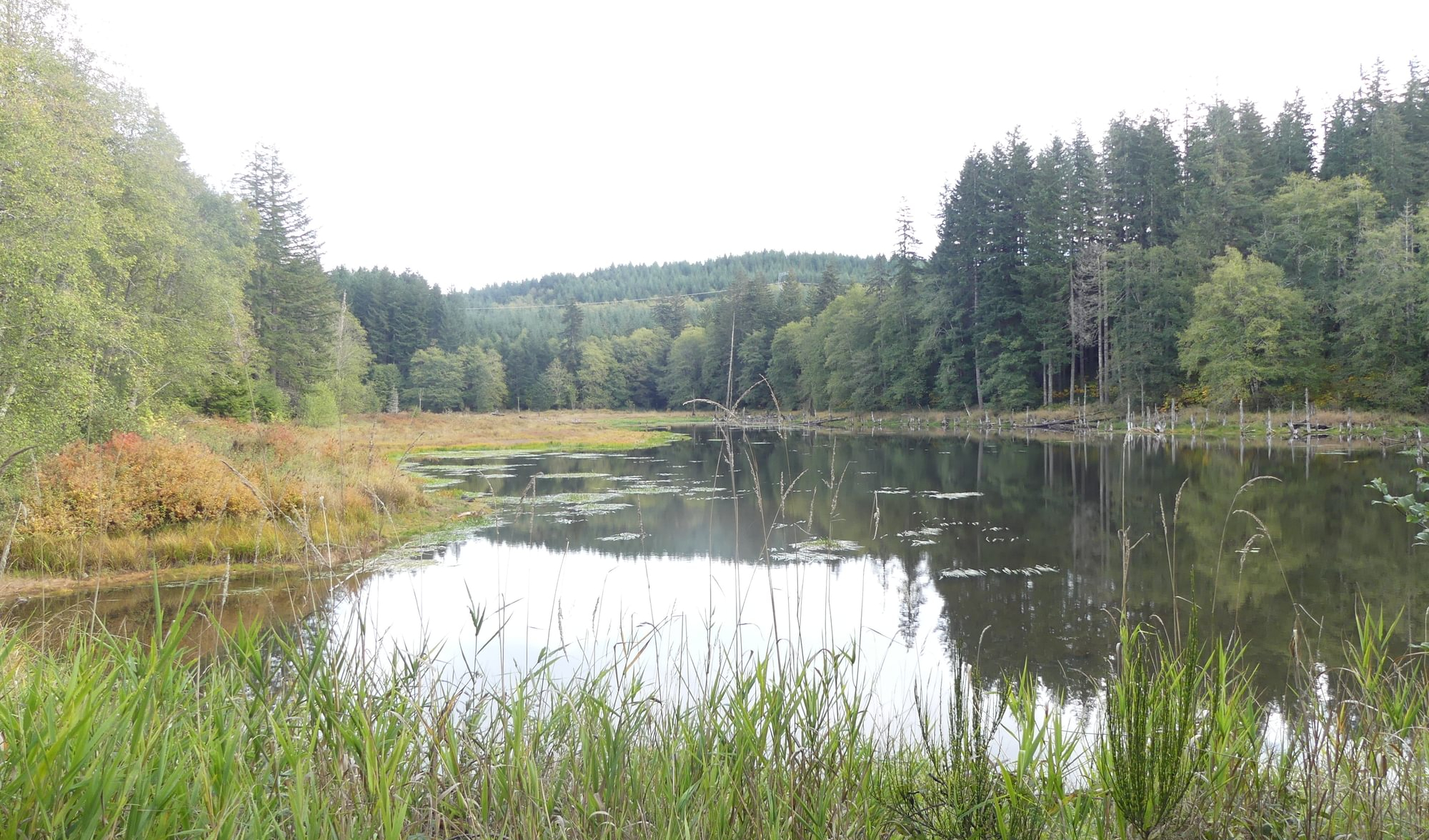 gunners lake lakes columbia county oregon