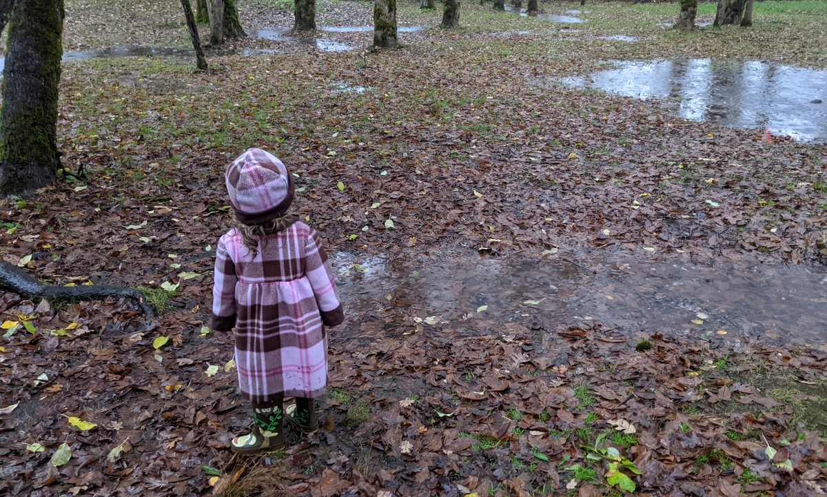 flooded at McCormick Park St. Helens Oregon columbia county