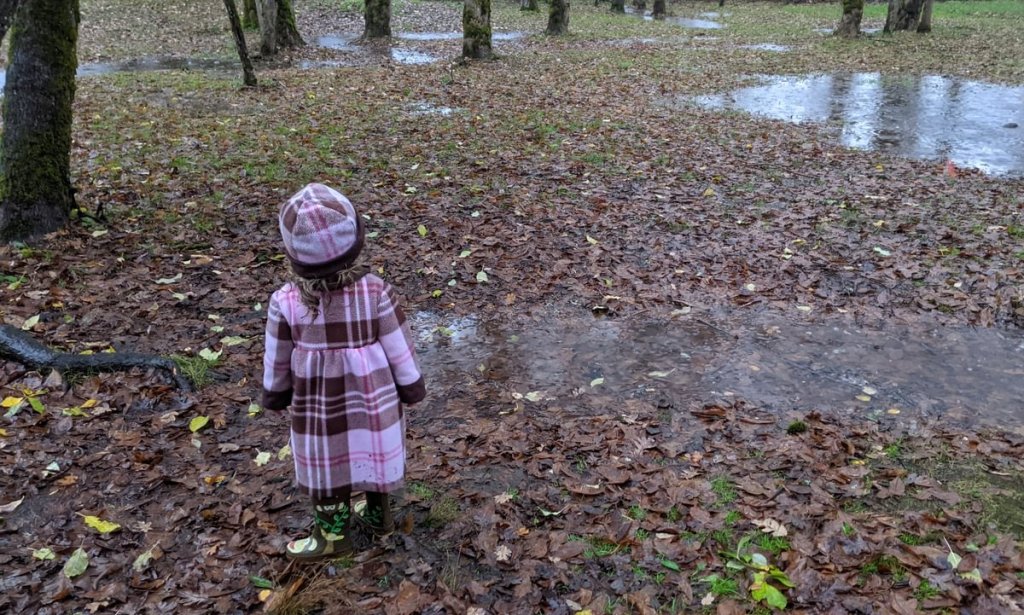 flooded at McCormick Park St. Helens Oregon columbia county
