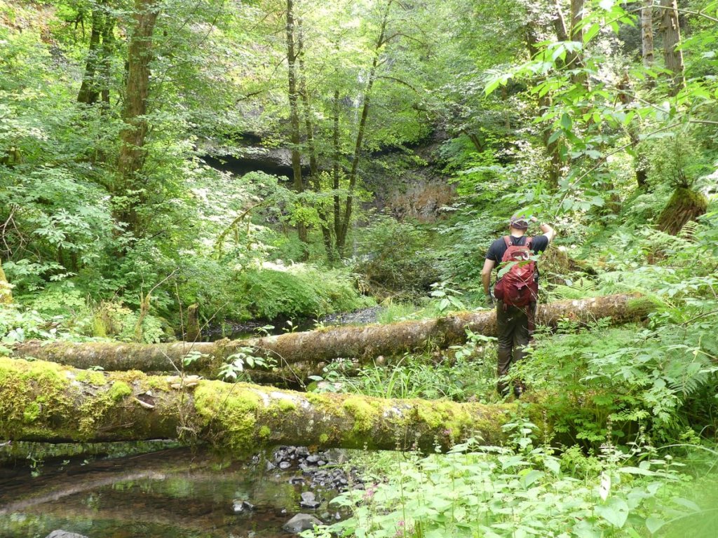 Matt D'Agrosa at Carcus Creek Falls Apiary Vernonia Columbia County northwest oregon