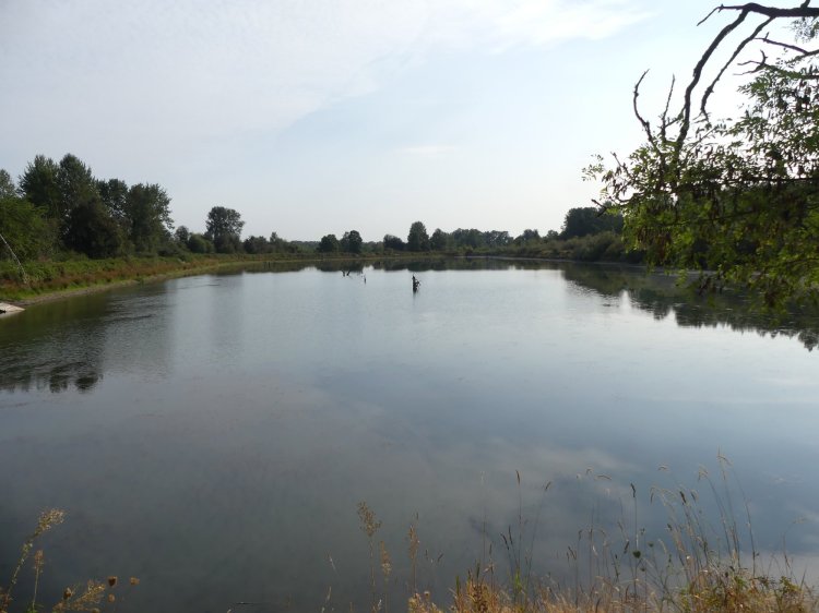 Santosh Wildlife Area lake calportland scappoose honeyman road columbia county oregon