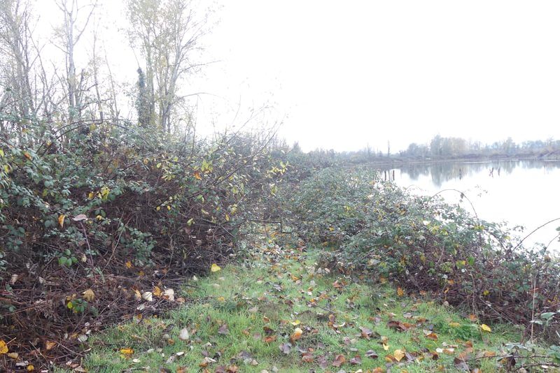 Santosh Wildlife Area lake calportland scappoose honeyman road columbia county oregon