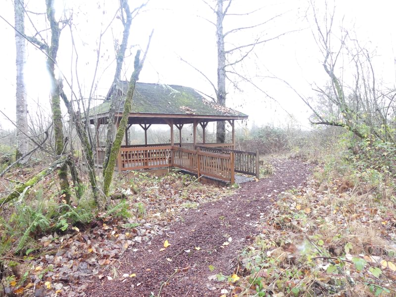 Santosh Wildlife Area lake calportland scappoose honeyman road columbia county oregon