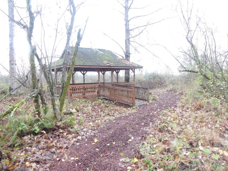 Santosh Wildlife Area lake calportland scappoose honeyman road columbia county oregon