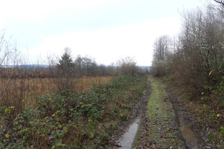 Santosh Wildlife Area lake calportland scappoose honeyman road columbia county oregon