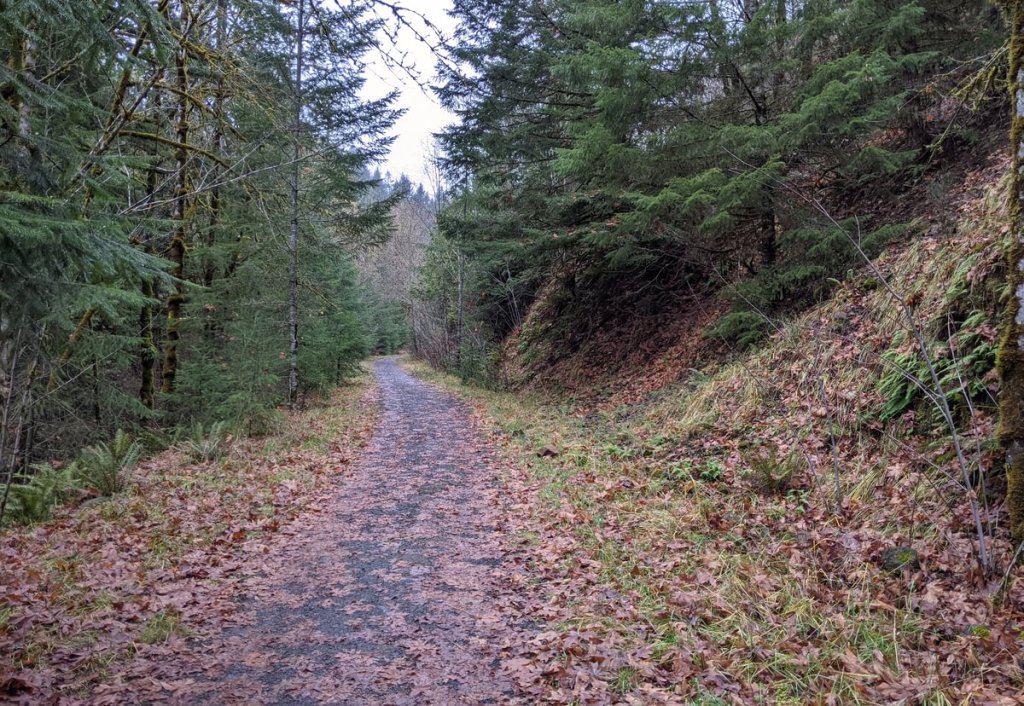 CZ Trail near Bonnie Falls Crown Zellerbach Matt D'Agrosa