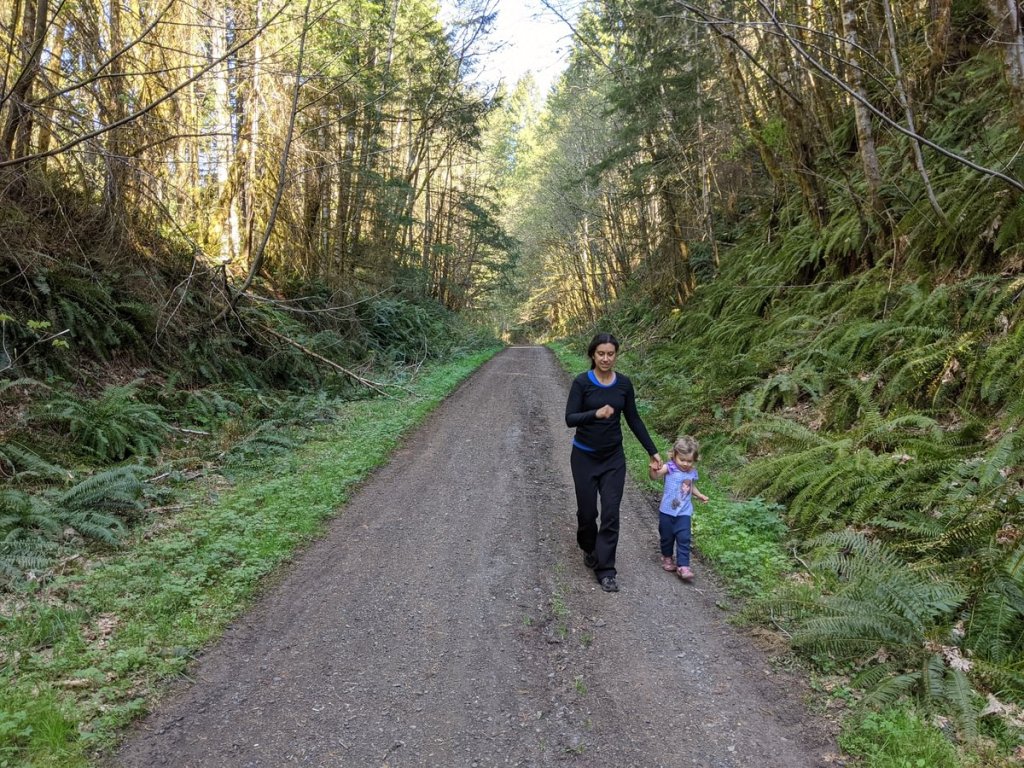 Crown Z Trail rosey Nehalem Divide Scappoose-Vernonia highway COlumbia County Oregon