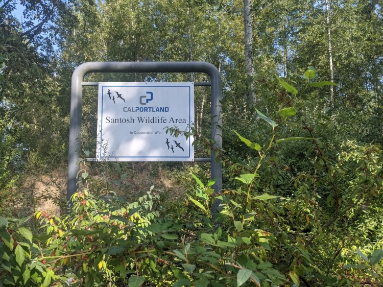 Santosh Wildlife Area lake calportland scappoose honeyman road columbia county oregon