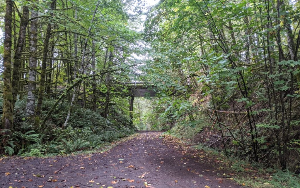 Nehalem Divide Rosey Hakim Scappoose-Vernonia Highway CZ Trail Crown Zellerbach Oregon columbia coUnty
