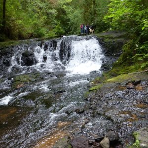 Barrier Falls Gnat Creek Clatsop County waterfall oregon