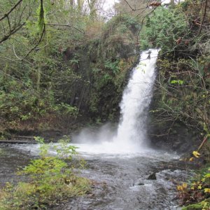 Hunt Creek Falls Clatsop County waterfall oregon