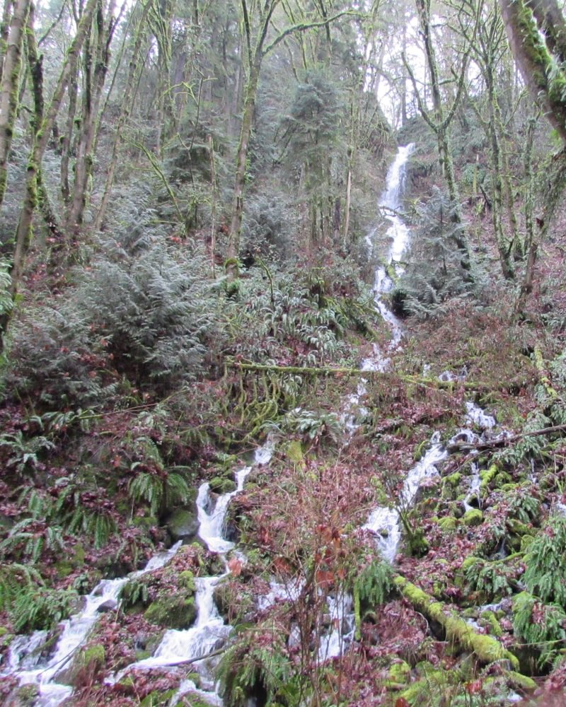Jack Falls Columbia River highway Prescott Rainier Columbia County Northwest Oregon