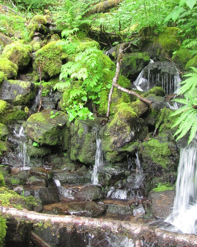 Gales Creek waterfall washington county oregon