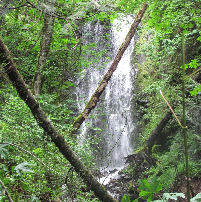 creek falls Wahkiakum County near columbia river waterfall washington