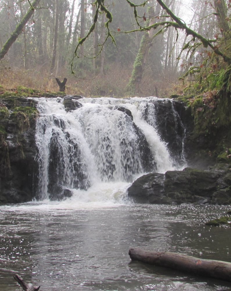 Tide Creek Falls Deer Island Goble Columbia County Northwest Oregon