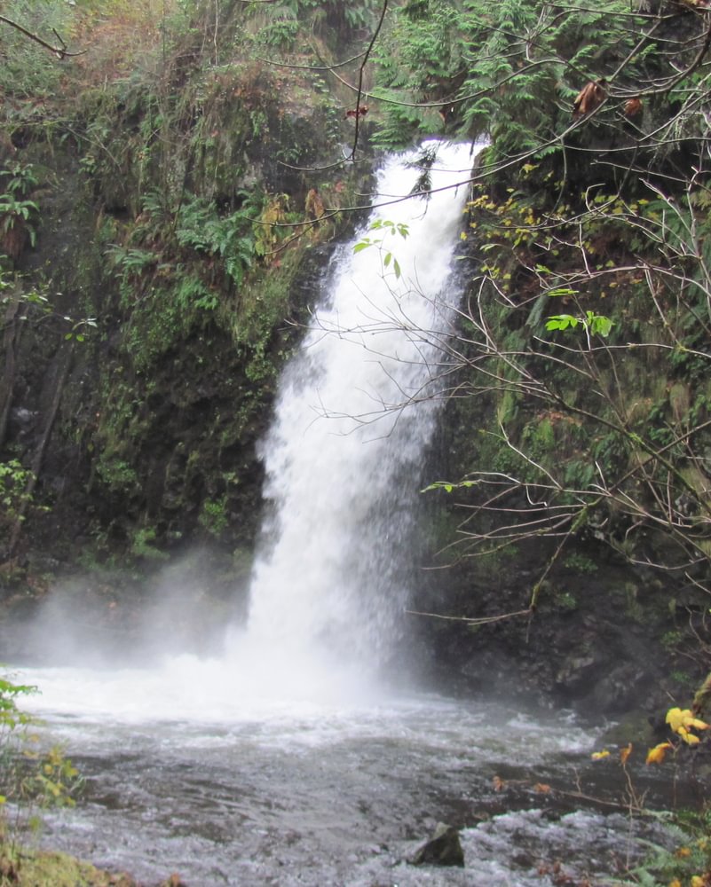 Hunt Creek Falls Bradley-Woodward Mill Bradford Columbia County Northwest Oregon