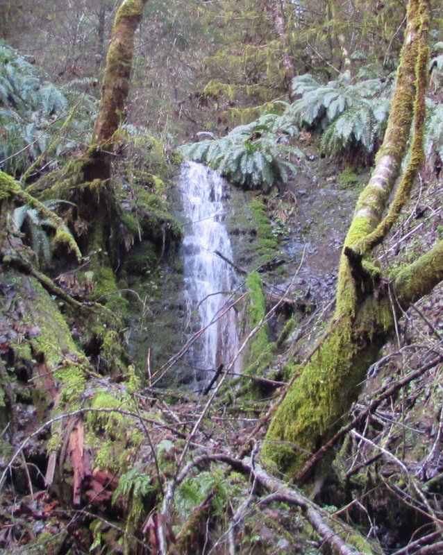 Vernonia area waterfall near Airport Road