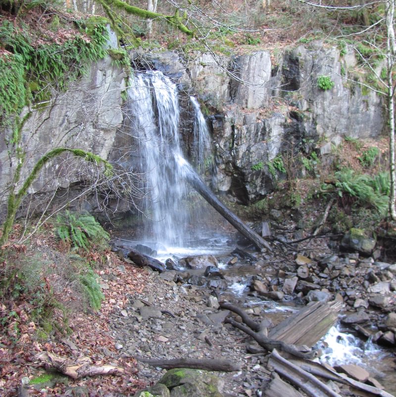Lower Marble Creek Falls Cowlitz County waterfall washington
