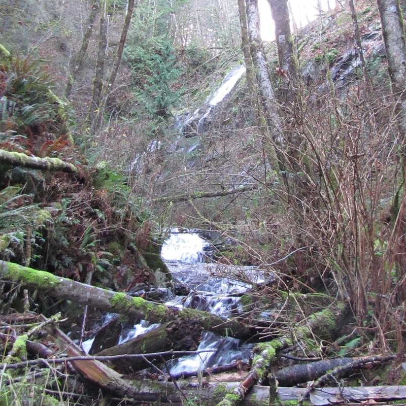 Upper Marble Creek Falls Cowlitz County waterfall washington