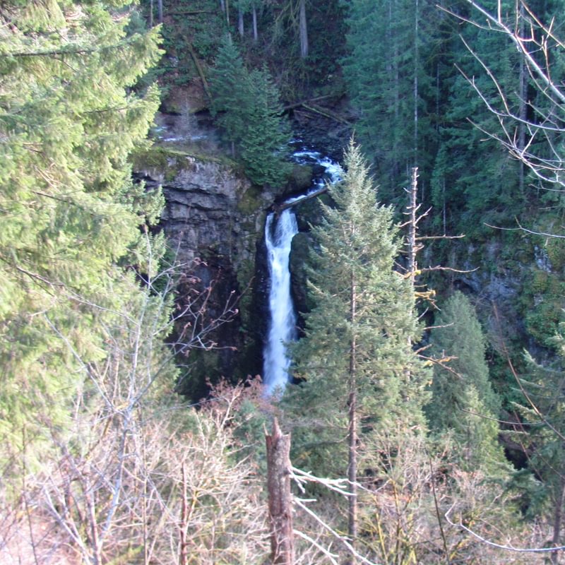 rock creek falls waterfall cowlitz county washington