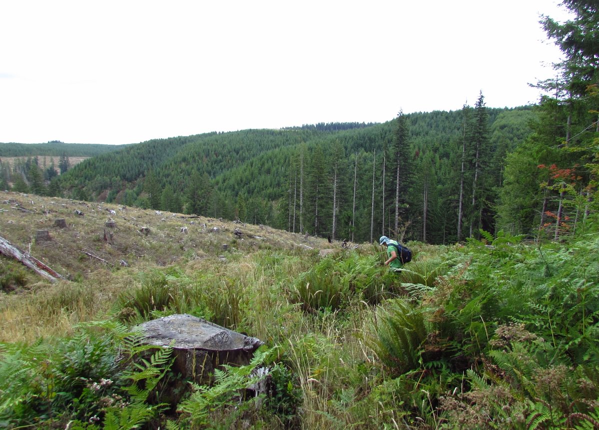 Lava Creek Falls waterfall apiary vernonia mist columbia county northwest oregon