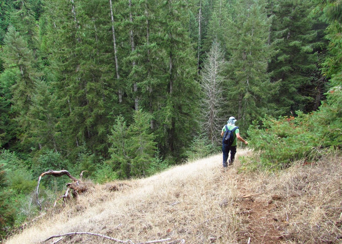 Lava Creek Falls waterfall apiary vernonia mist columbia county northwest oregon