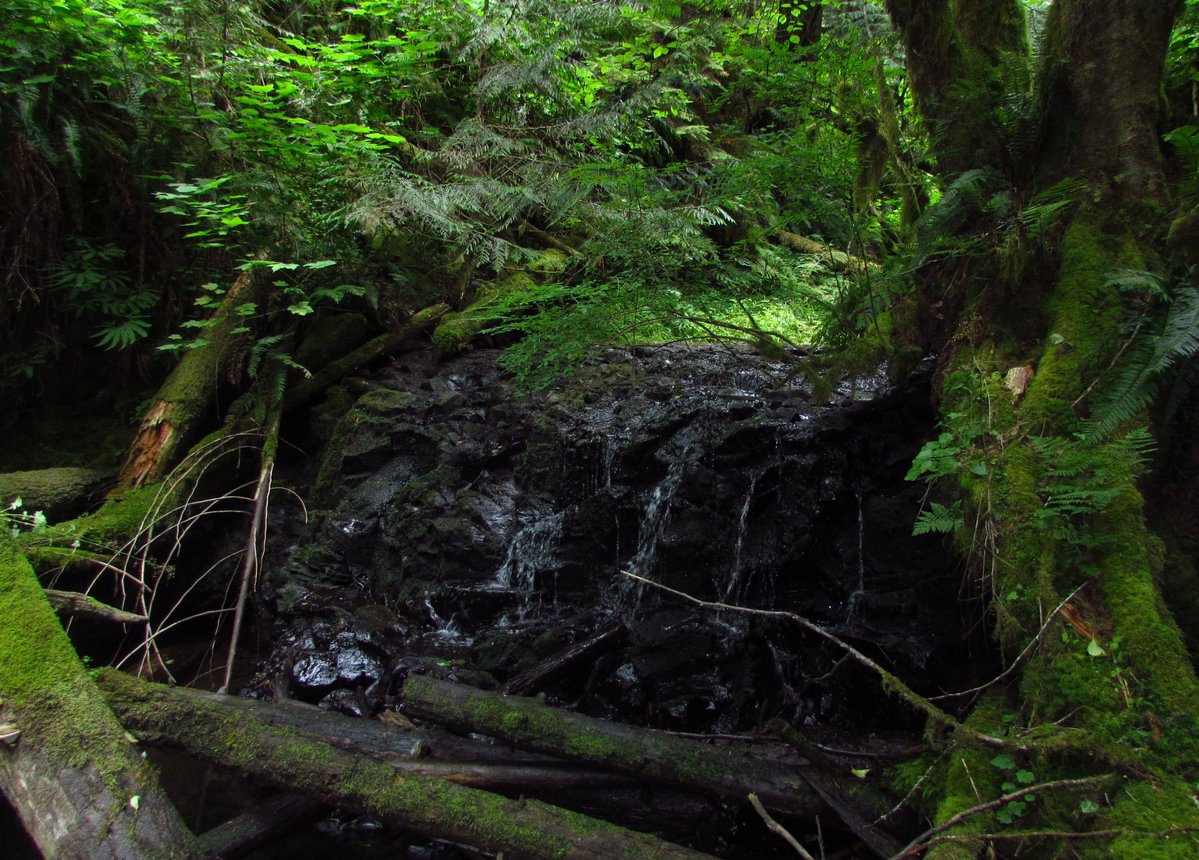 Lava Creek Falls waterfall apiary vernonia mist columbia county northwest oregon