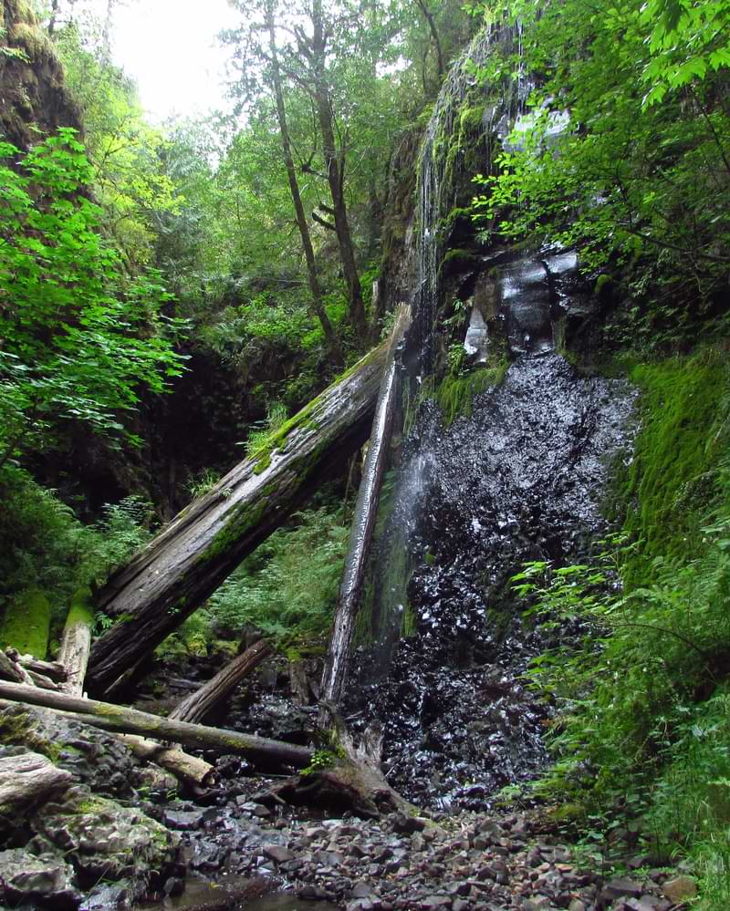 Lava Creek Falls Apiary Columbia County Northwest Oregon