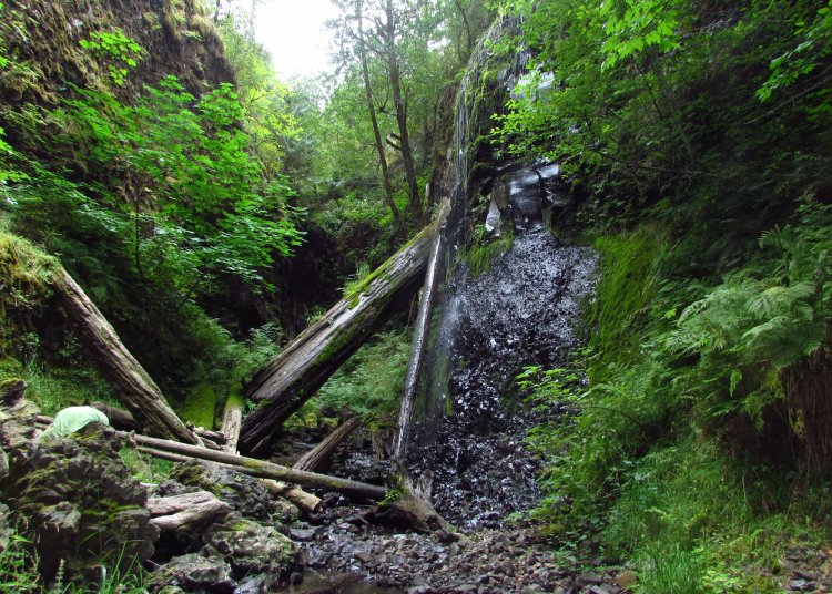 Lava Creek Falls waterfall apiary vernonia mist columbia county northwest oregon