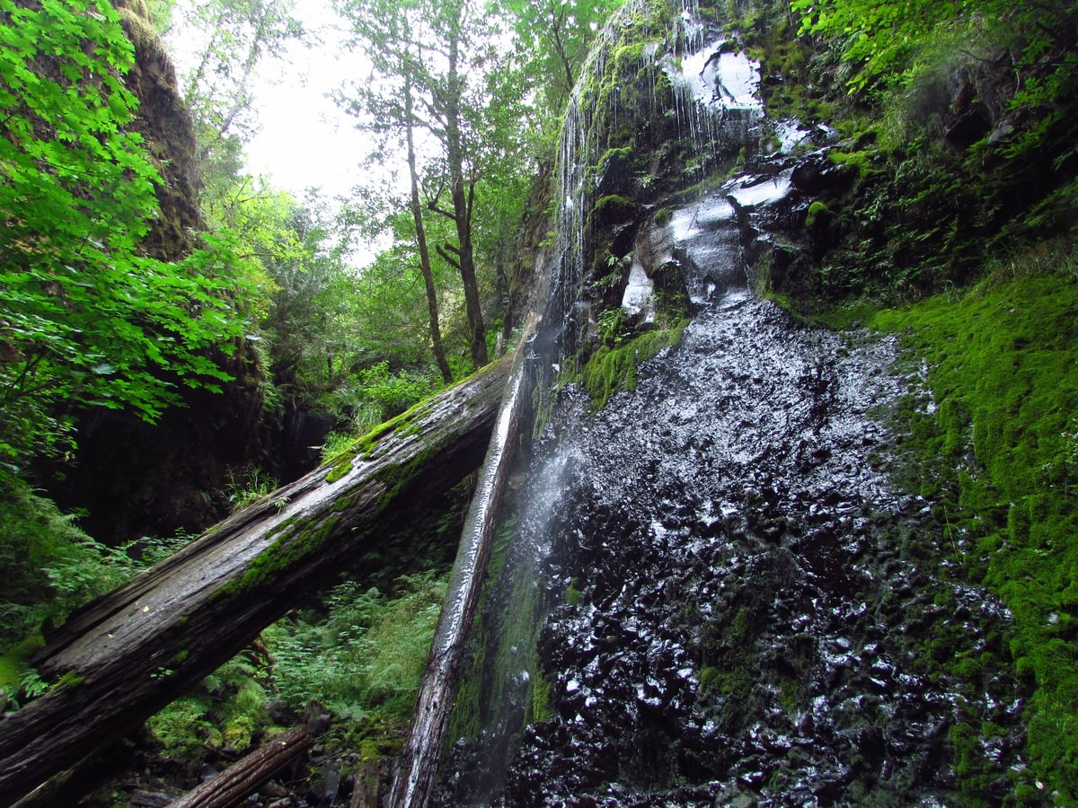 Lava Creek Falls waterfall apiary vernonia mist columbia county northwest oregon