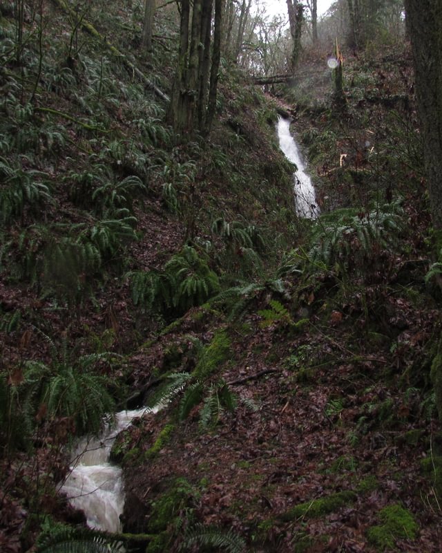 Goble area waterfall on Columbia Land Trust oregon