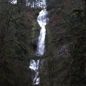 Munson Creek Falls Tillamook County waterfall oregon