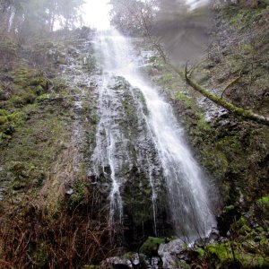 Niagara Falls Yamhill County waterfall oregon