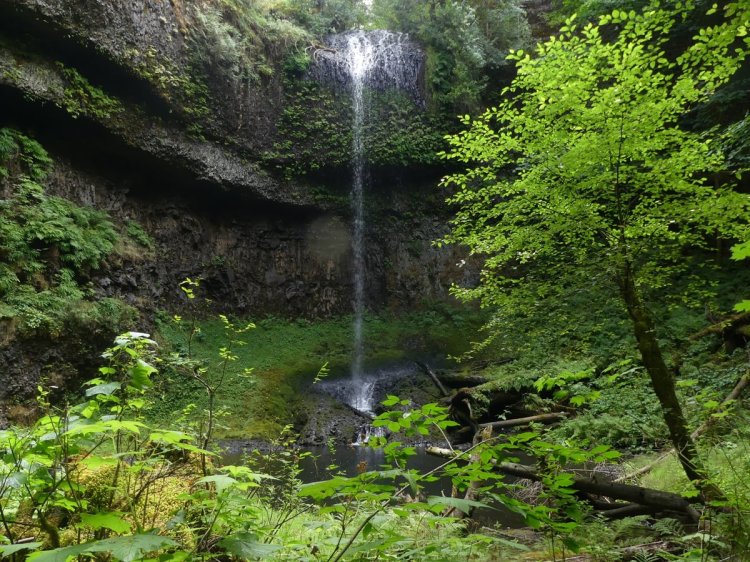 Carcus Creek falls waterfall Columbia County northwest oregon
