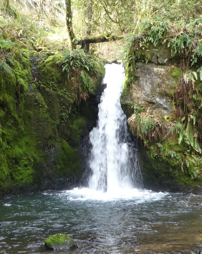 Falls Creek Falls Clatskanie highway 30 47 Columbia County Northwest Oregon