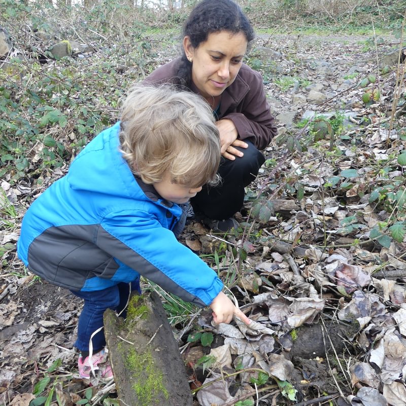 long-toed Salamander dalton lake bike trail st. helens columbia city rutherford parkway oregon