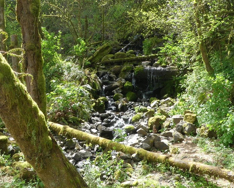 Welter Cemetery Falls waterfall Neer Creek prescott goble rainier columbia county northwest oregon trojan park