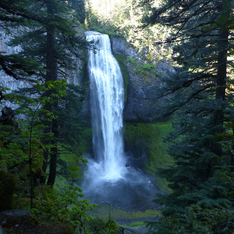 Salt Creek Falls lane county waterfall oregon