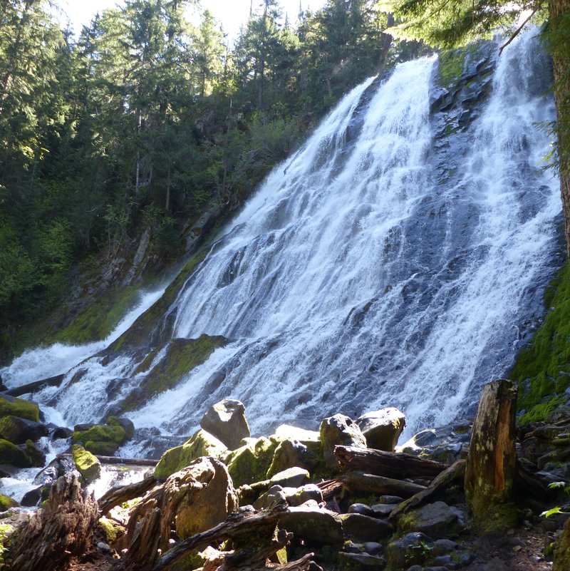 Diamond Creek Falls Lane County waterfall oregon