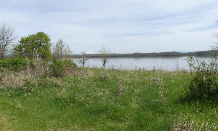 mt. st. helens Oak Island nature trail sauvie island columbia county oregon
