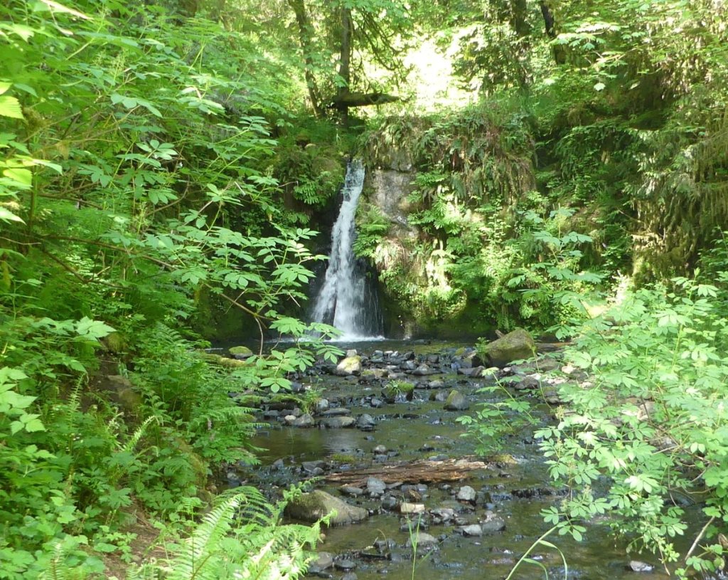 lower falls spring Fall Creek Falls clakskanie oregon highway 30