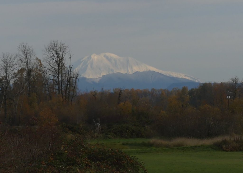 Mount Adams Trtek Trailhead CZ Crown Z Zellerbach Trail Scappoose bottoms Columbia County northwest oregon