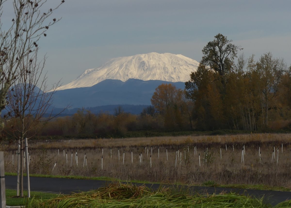 Mount St. Helens Trtek Trailhead CZ Crown Z Zellerbach Trail Scappoose bottoms Columbia County northwest oregon