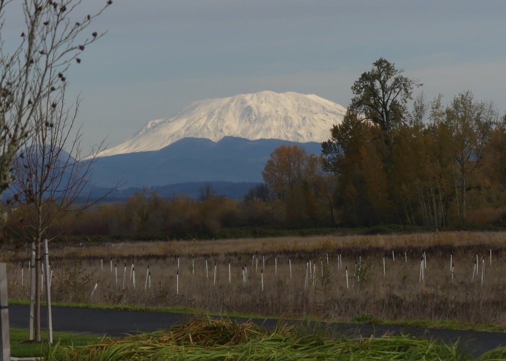 Mount St. Helens Trtek Trailhead CZ Crown Z Zellerbach Trail Scappoose bottoms Columbia County northwest oregon