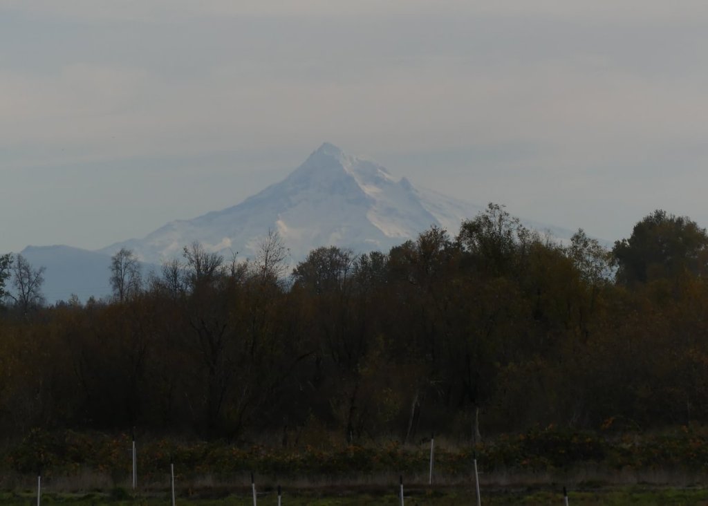 Mount Hood Trtek Trailhead CZ Crown Z Zellerbach Trail Scappoose bottoms Columbia County northwest oregon