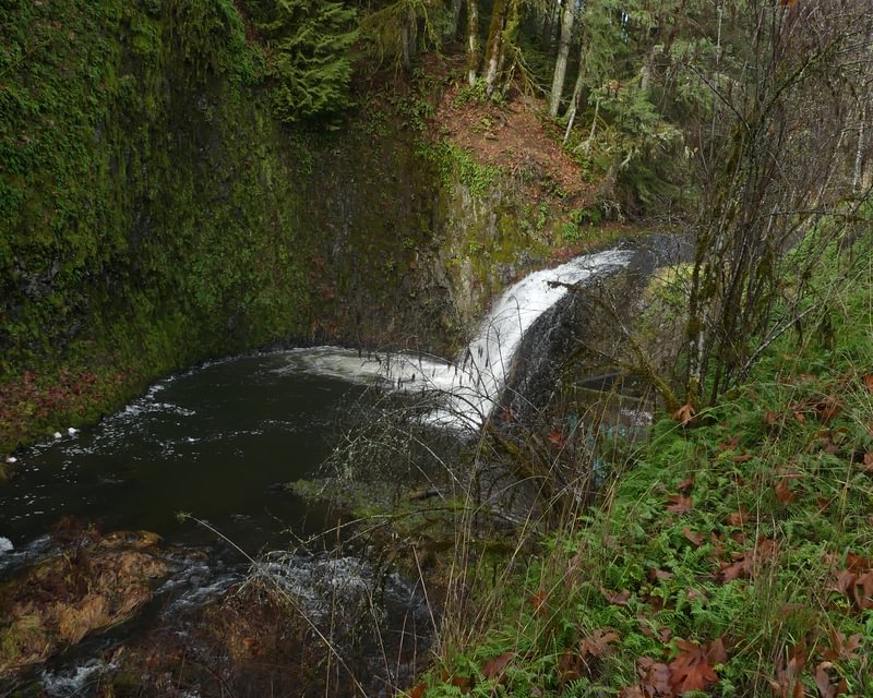 bonnie falls waterfall scappoose creek scappoose-vernonia highway cz trail crown zellerbach columbia county northwest oregon