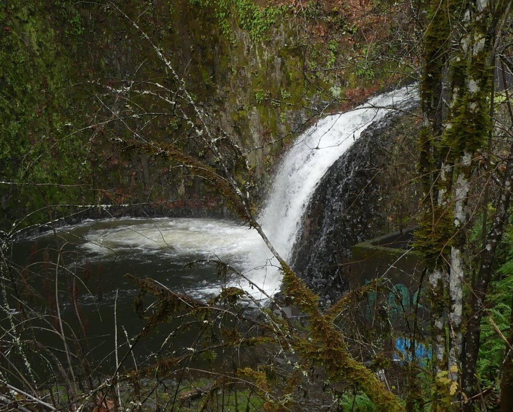 bonnie falls waterfall scappoose creek scappoose-vernonia highway cz trail crown zellerbach columbia county northwest oregon
