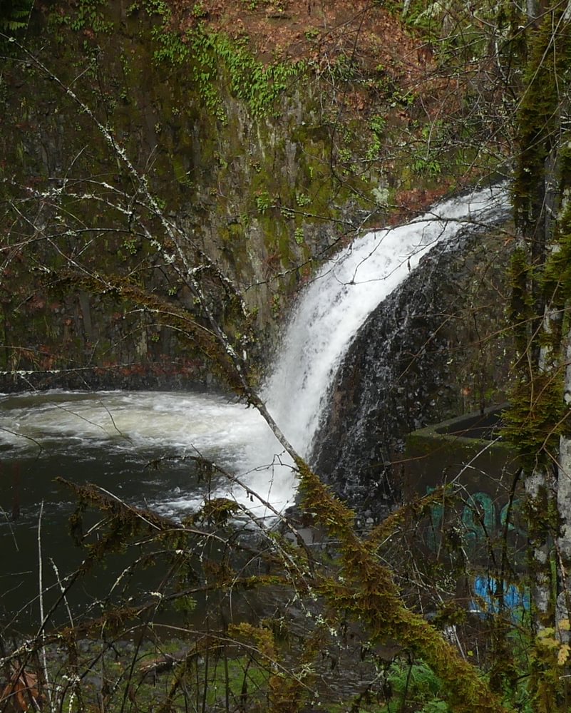 Bonnie Falls Scappoose-Vernonia Highway CZ Columbia County Northwest Oregon